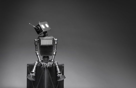 Robotic Ambassadors